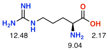 peptide 1