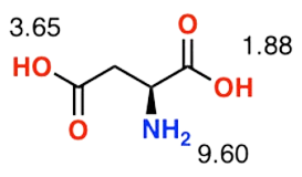 peptide 2