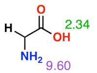 peptide 3