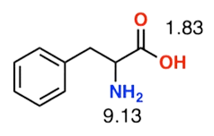 peptide 4